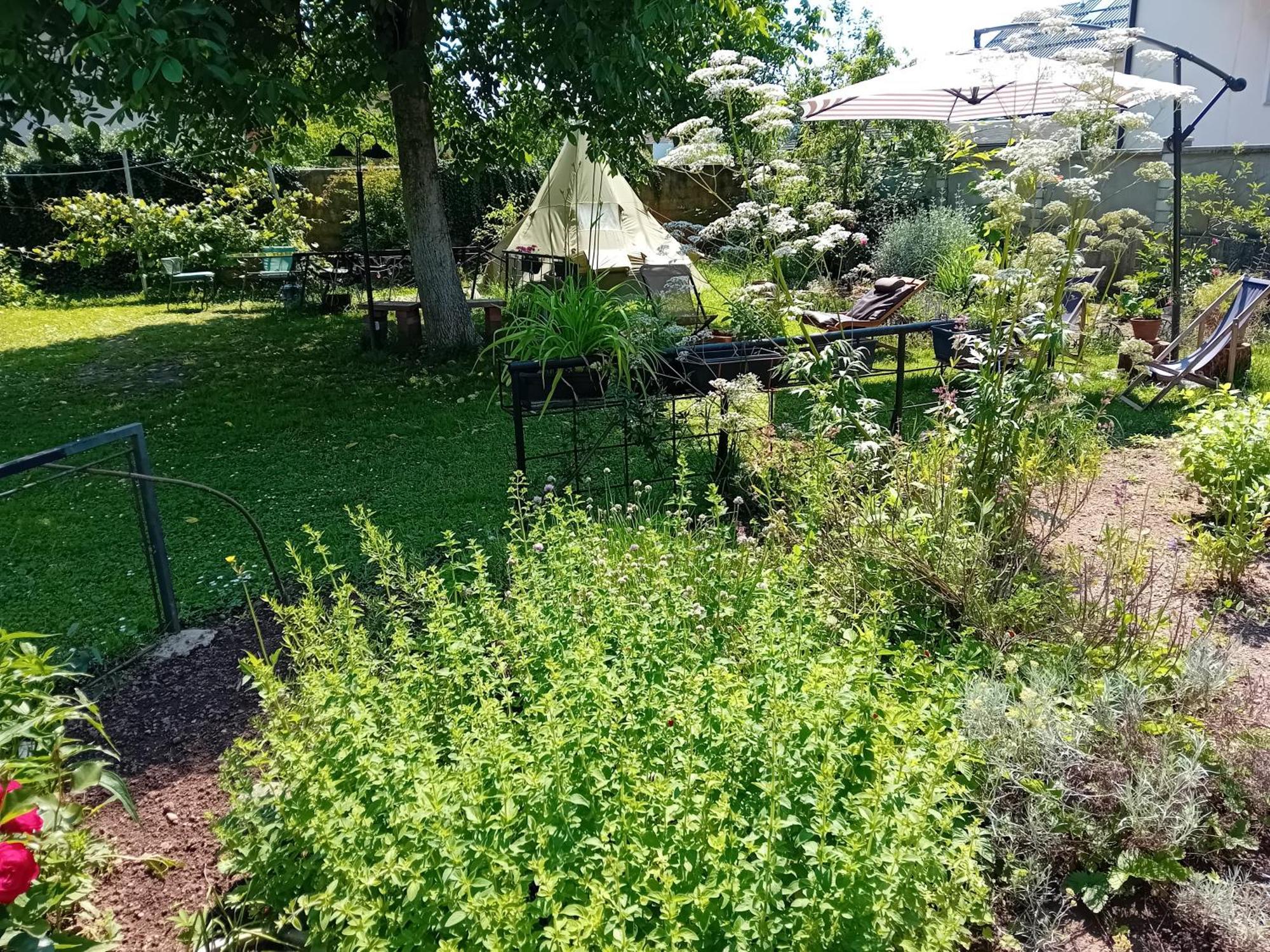 Indian Tent Tipi In Shared Lot And Shared Bathroom Mrse Экстерьер фото